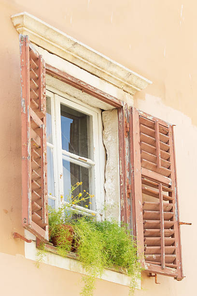 abrir janela envelhecida de madeira marrom obturador com verde de flores - shutter unhygienic ancient old - fotografias e filmes do acervo