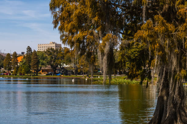 istock Lake Morton in Lakeland Florida 1754861755