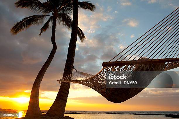 ハンモックでリラックス - ハワイ諸島のストックフォトや画像を多数ご用意 - ハワイ諸島, ハンモック, 日没