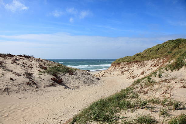 istock West coast of Jutland - Denmark 175486275