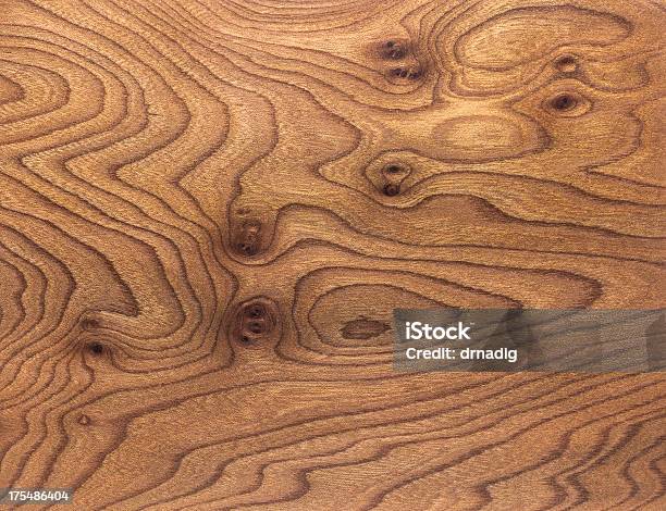 Karpat Elm Burl Słój Drzewa Tle - zdjęcia stockowe i więcej obrazów Tekstura - Tekstura, Drewno - Tworzywo, Klimat tropikalny