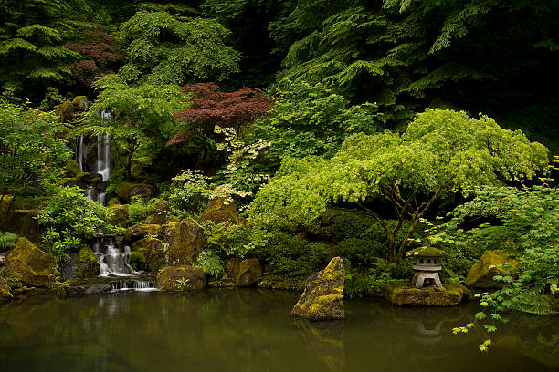 VANCOUVER - MAY 05 2019: Downtown Vancouver, Canada. Dr. Sun Yat-Sen Classical Chinese Garden in Vancouver, British Columbia, Canada.