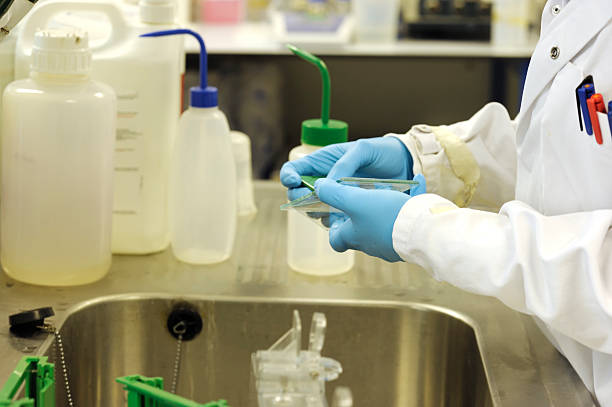 Free picture: health, laboratory, fish, sampling