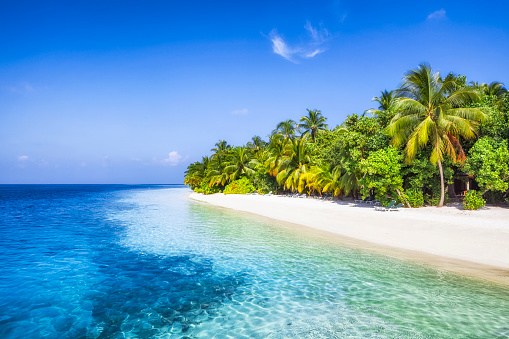 beautiful tropical beach on island at indian ocean