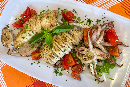 Fresh tasty grilled squid with herbs and salad