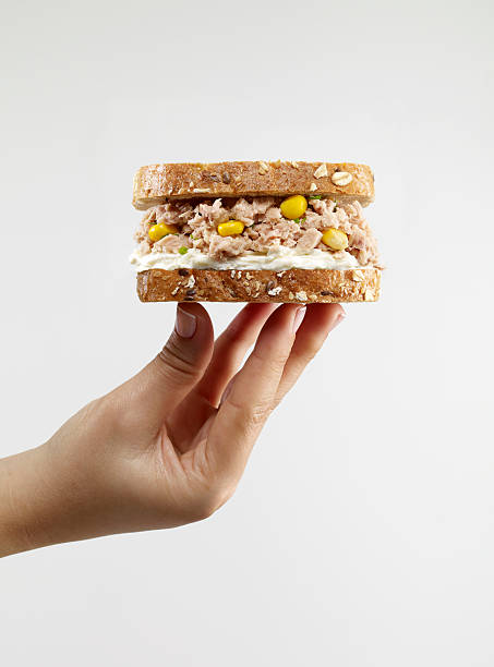 ツナサンドイッチ - tuna salad sandwich ストックフォトと画像