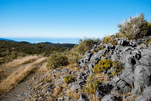 blick vom takaka hill fußgängerweg, neuseeland - golden bay stock-fotos und bilder