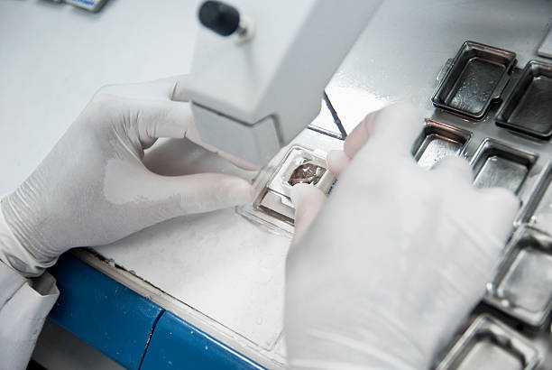 histologie processus :  établir - histology human tissue laboratory buried photos et images de collection