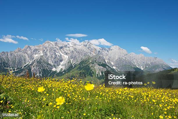 Le Alpi - Fotografie stock e altre immagini di Alpi - Alpi, Alpi di Berchtesgaden, Ambientazione esterna