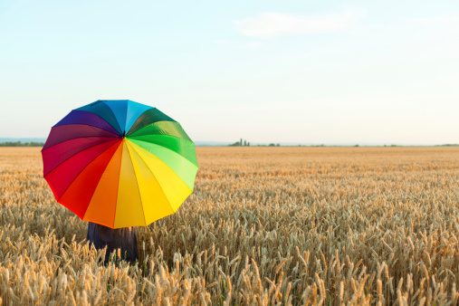 Rear view of woman with colorful umbrella standing in a wheat field.