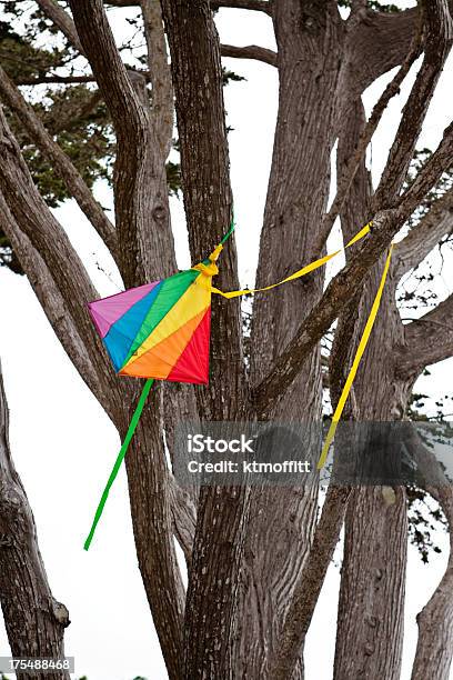 Bright Rainbow Kite Stuck In Tree Stock Photo - Download Image Now - Tree, Kite - Toy, Stuck