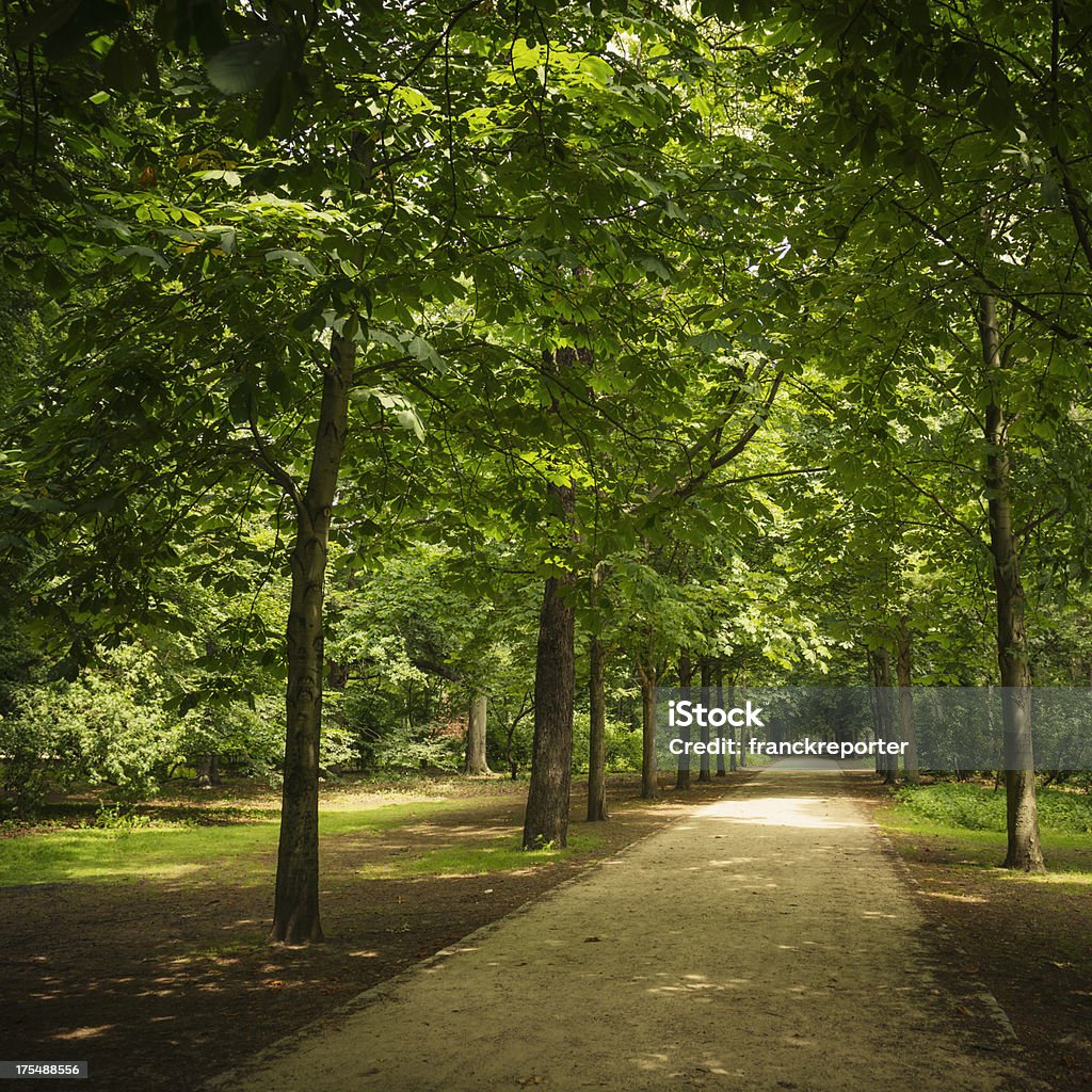 Parque Tiergarten na primavera-Berlim - Foto de stock de Parque público royalty-free