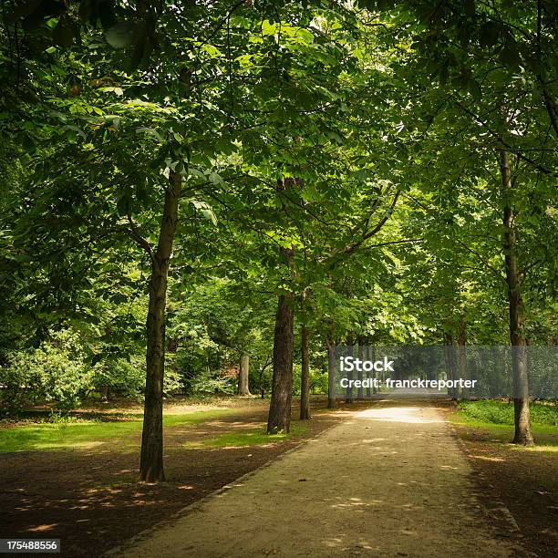 Foto de Parque Tiergarten Na Primaveraberlim e mais fotos de stock de Parque público - Parque público, Berlim, Trilha - Passagem de Pedestres