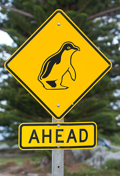 istock Penguin Crossing Road Sign (XXXL) 175488899