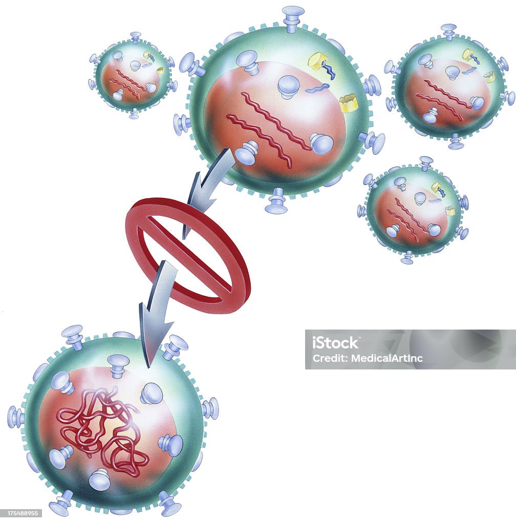 Wirusa HIV odwrotnej transkryptazy Block - Zbiór ilustracji royalty-free (Enzym)