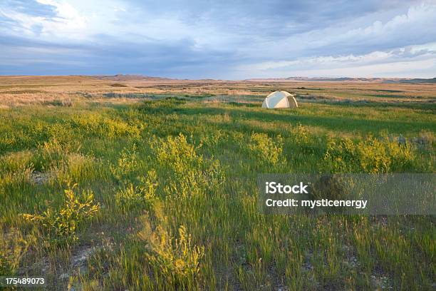 Parque Nacional De Grasslands - Fotografias de stock e mais imagens de Acampar - Acampar, Agricultura, Amarelo