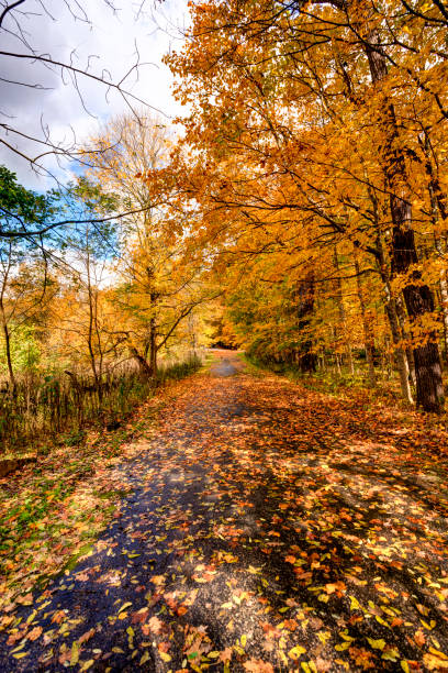 Autumn scenery of Moon Town, Zhalantun, Hulunbuir, Inner Mongolia Autonomous Region, China