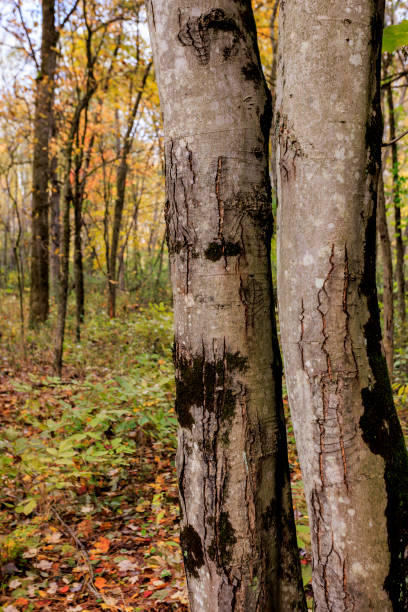 Cuyahoga Valley National Park