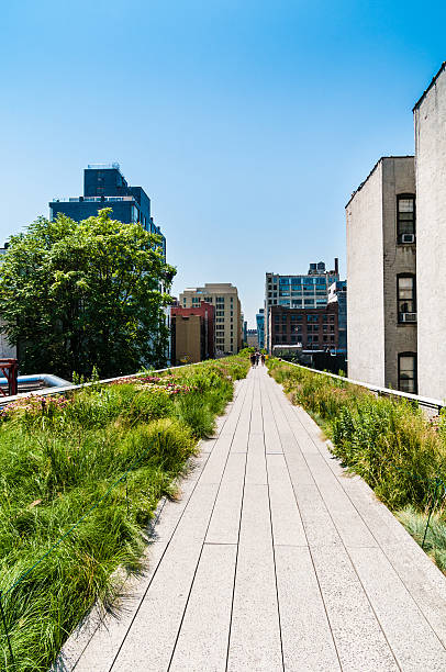 istock The High Line Park New York 175489751