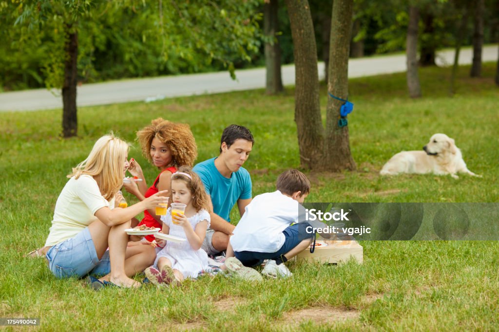 Familias disfrutando de una barbacoa al aire libre - Foto de stock de Comunidad libre de derechos