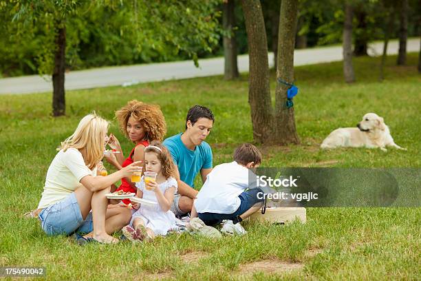 Familias Disfrutando De Una Barbacoa Al Aire Libre Foto de stock y más banco de imágenes de Comunidad - Comunidad, Barbacoa - Reunión, Hierba - Pasto