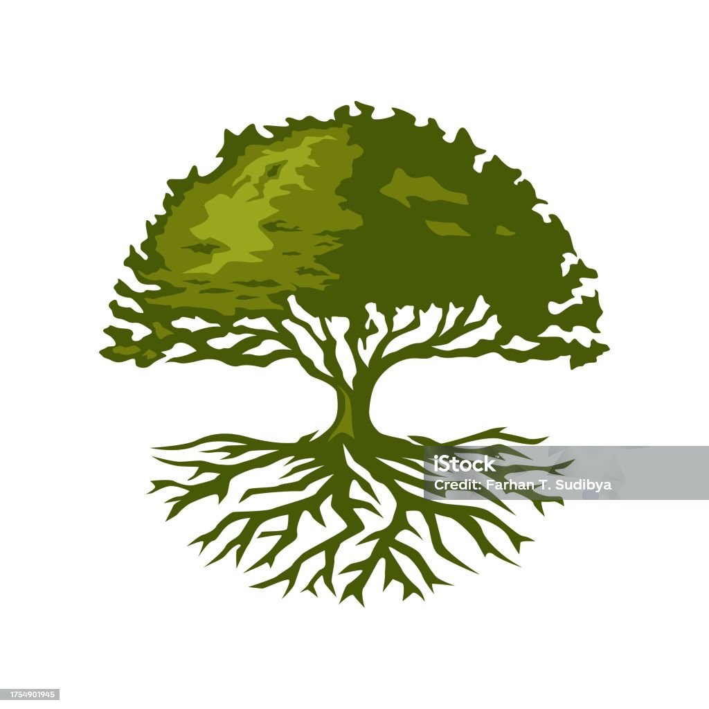 Tree Roots Vector Plan View Green Vector Tree And Roots Vector Illustration Stock Illustration ...
