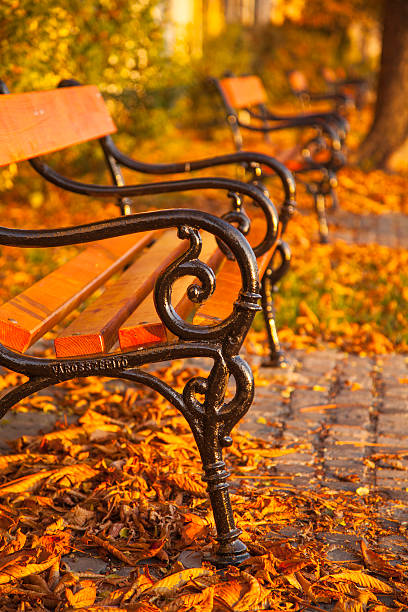 istock Autumn a park bench in Hungary 175490318