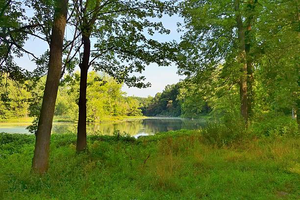 istock Fort Frederick State Park Beaver Pond 175490735