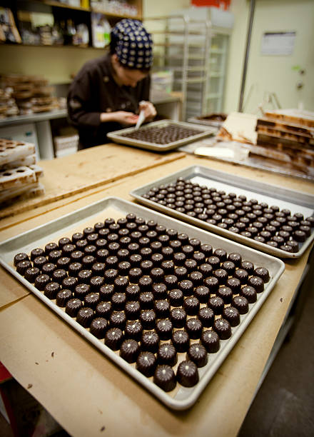 istock Female chocolate maker putting final touches to chocolates 175490866