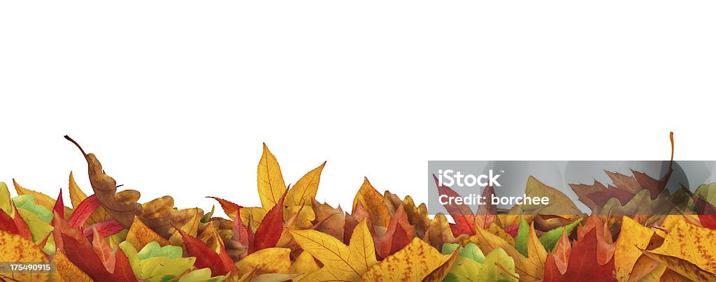 Autunno foglie Seamless - Foto stock royalty-free di Foglia