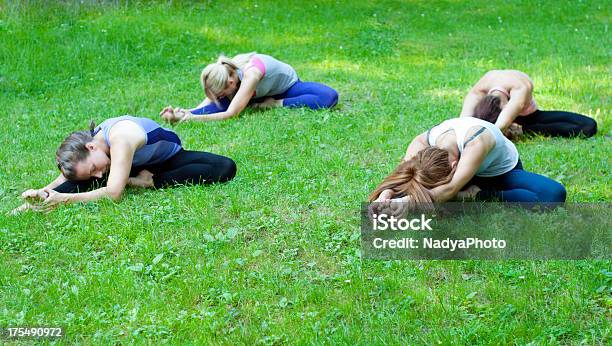 Fitness In The Park Stock Photo - Download Image Now - 20-29 Years, Active Lifestyle, Adult