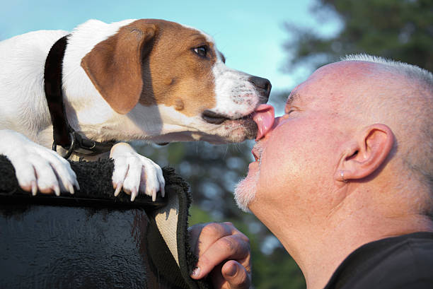 istock Dog Kissing Man 175491242