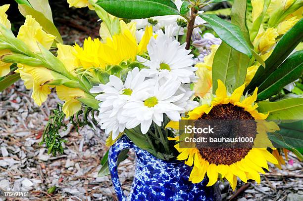 Sommerblumenarrangement Stockfoto und mehr Bilder von Blau - Blau, Blume, Blumenbeet