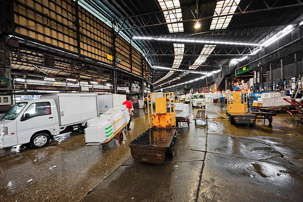 Tsukiji Fish Market, Tokyo, Japan