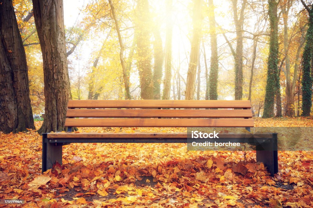 Otoño Park - Foto de stock de Otoño libre de derechos