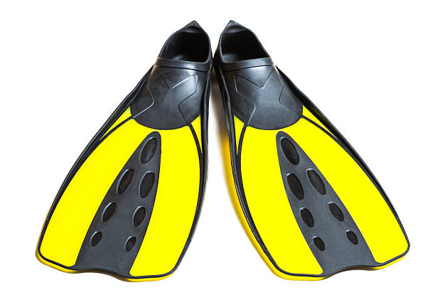 Scuba diving fins, flippers, isolated on white background.