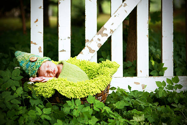 Newborn Baby Gnome Sleeping in Garden