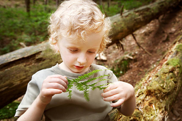 istock Little boy looking at fern plant 175493023
