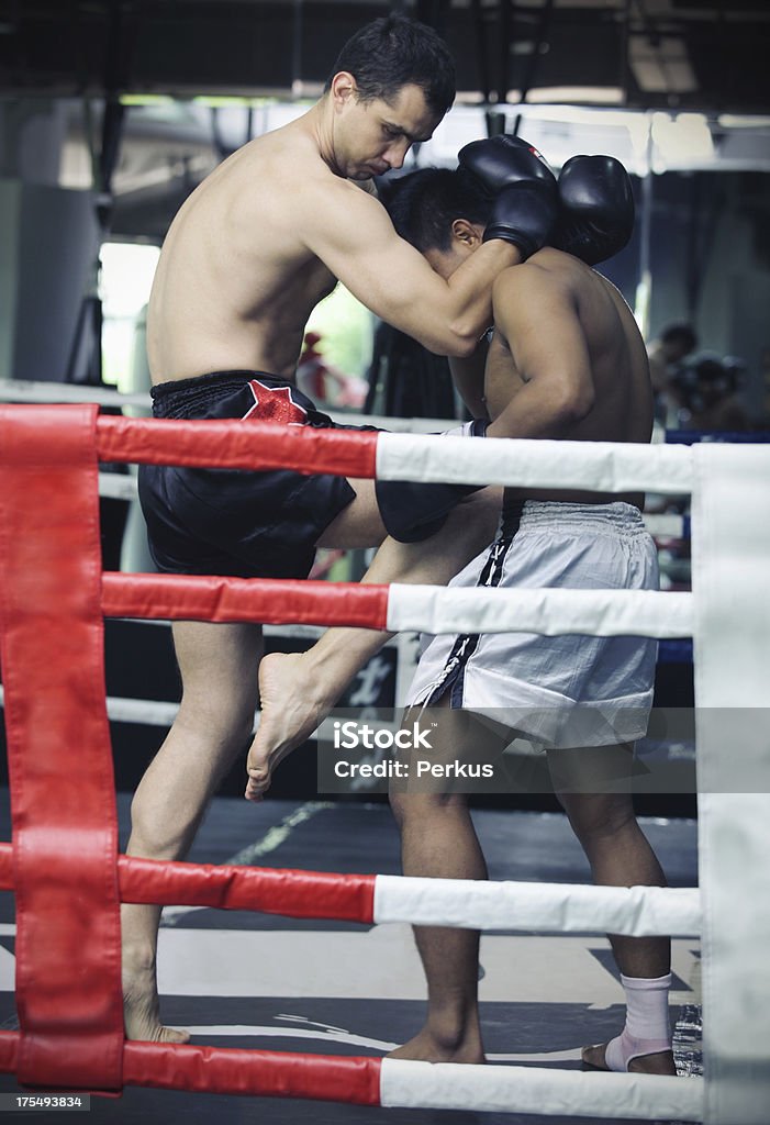 muay thai-Boxen - Lizenzfrei Aggression Stock-Foto