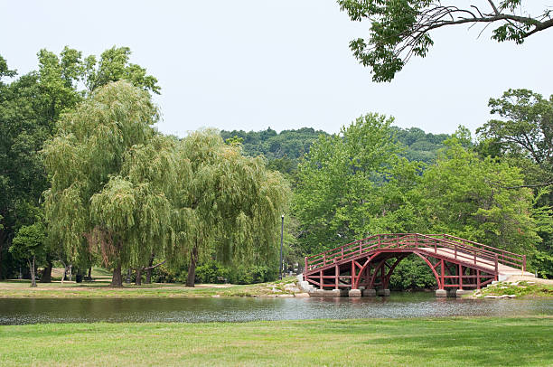 elm park worcester ma - worcester - fotografias e filmes do acervo