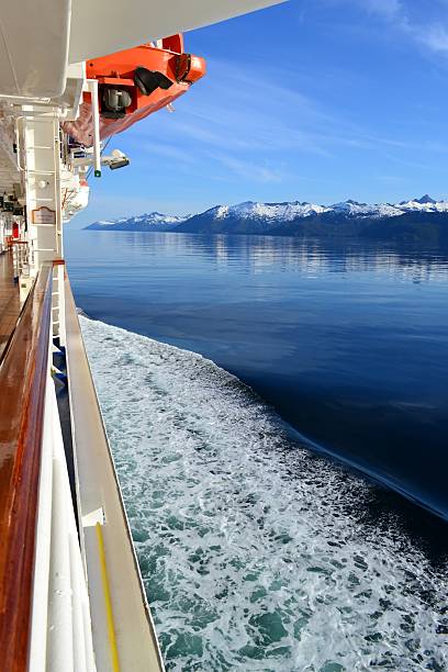 Ice floating in the Tracey Arm inlet, Alaska, USA