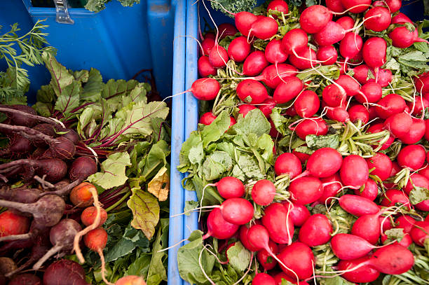 istock Organic Veggies at Farmers' Market 175494017