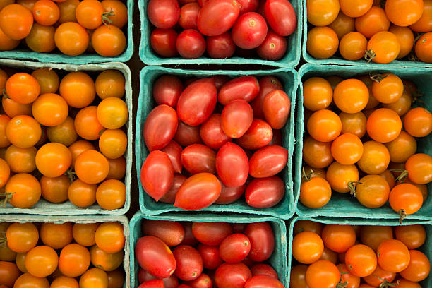 Organically Grown Cherry Tomatoes stock photo