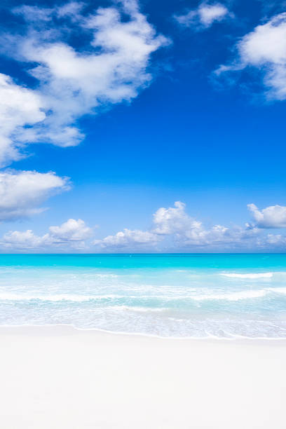 istock Paradisaical tropical white sand cay beach with turquoise waters 175494536
