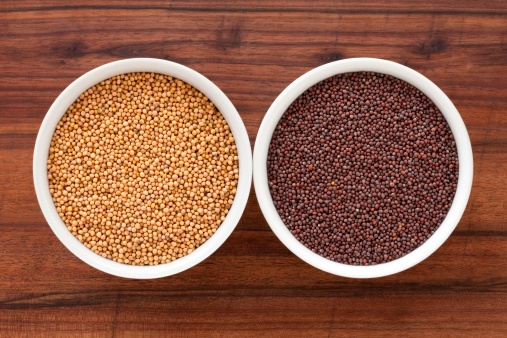 Top view of two bowls containing different types of mustard grains