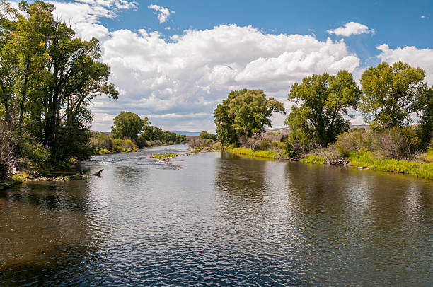 istock Colorado River in Parshall, CO 175494646