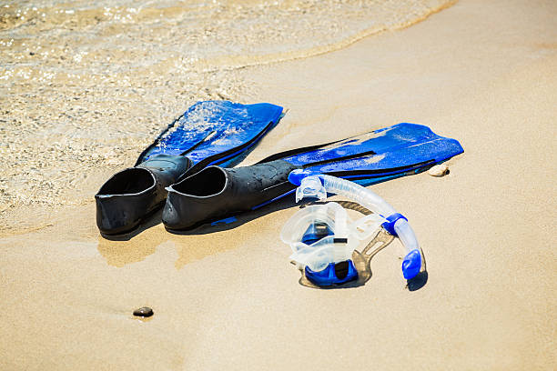 istock Scuba diving fins, flippers on sandy beach 175494666