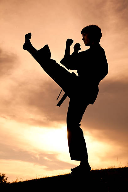 istock Woman in silhouette practicing martial arts, karate. Sunset. Outdoors. Sky. 175494784