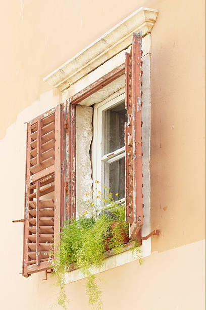 verde de flores em caixotes de madeira marrom janela do obturador aberto - shutter unhygienic ancient old - fotografias e filmes do acervo
