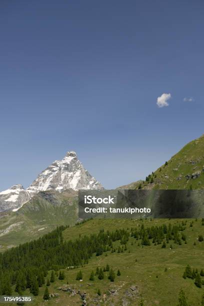 Cervinos Foto de stock y más banco de imágenes de Aire libre - Aire libre, Alerce - Árbol de hoja caduca, Alpes Europeos